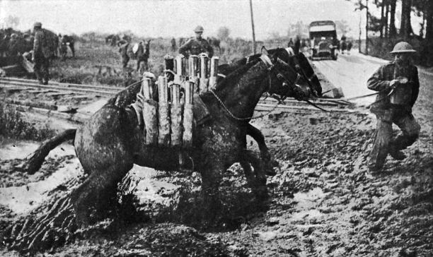 Horses in the World Wars